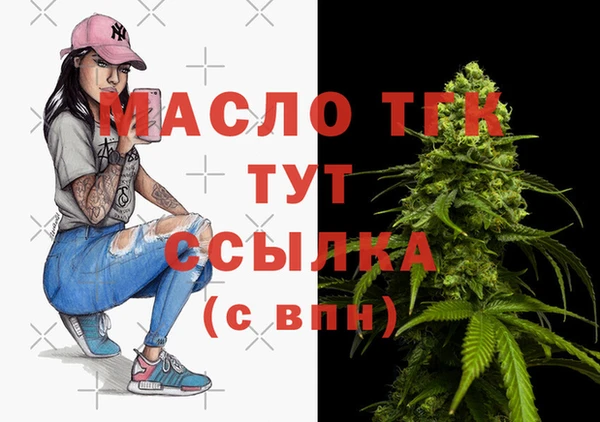 амф Гусь-Хрустальный