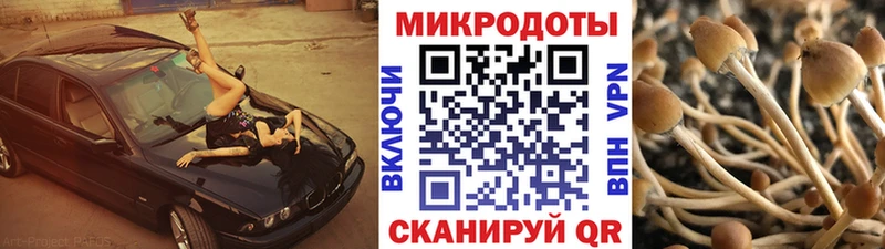 наркошоп  Осинники  Галлюциногенные грибы MAGIC MUSHROOMS 